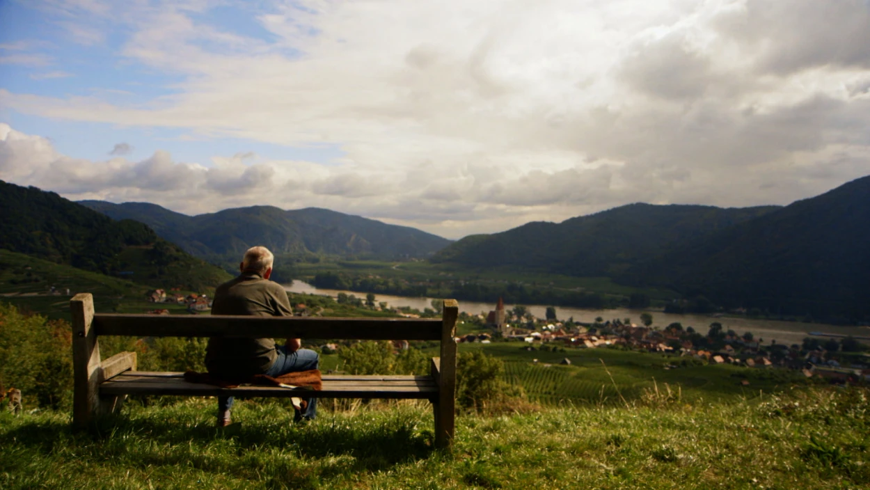Mit der Wachauer Traube durchs Jahr