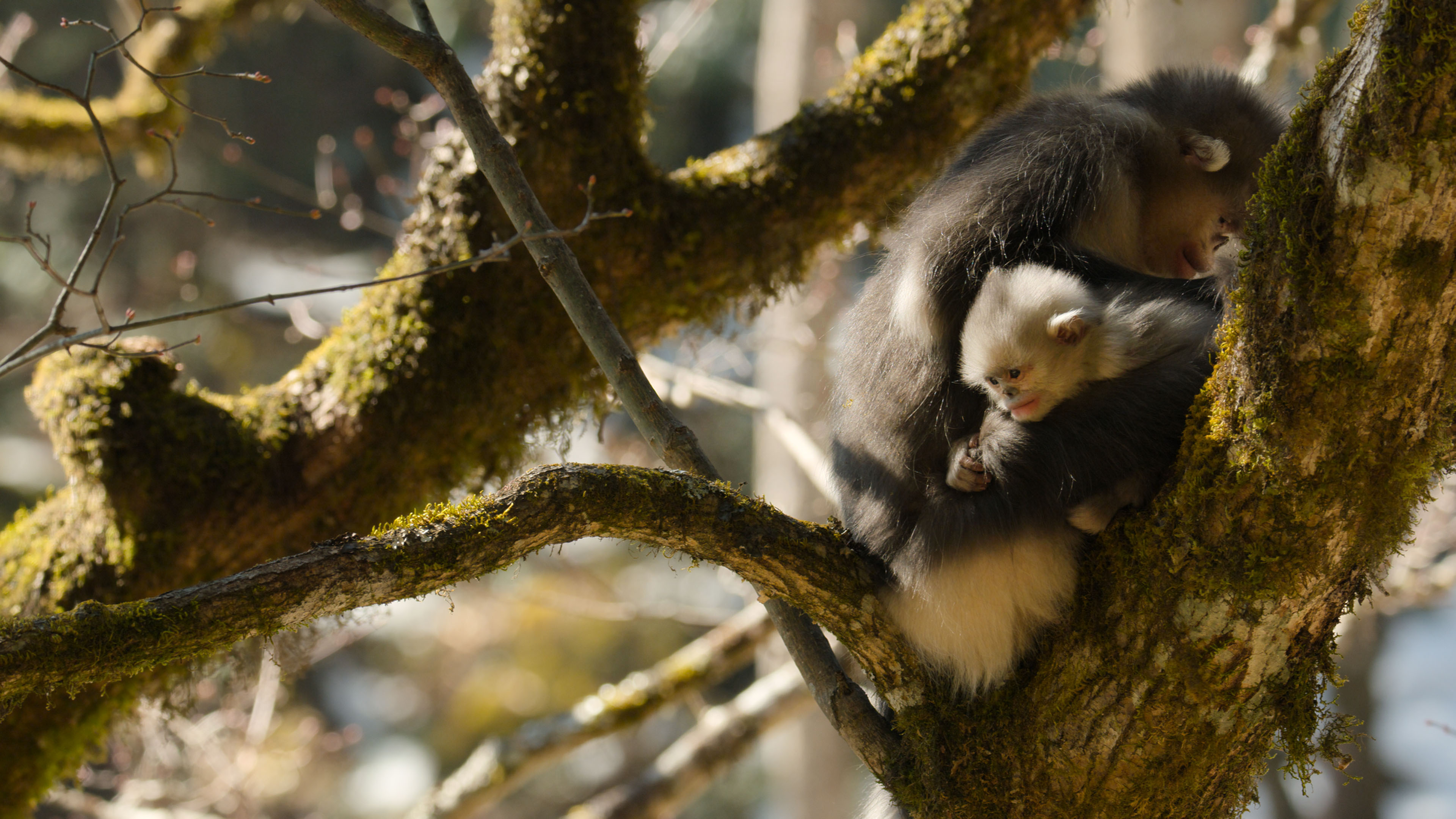 Chinas Westen - Ein fragiles Paradies