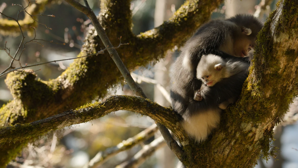 Chinas Westen - Ein fragiles Paradies