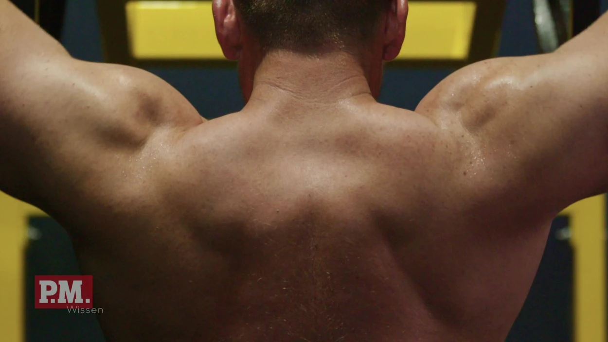 Was passiert im Körper bei Doping?