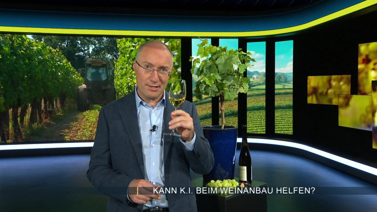 Vernetzter Weinberg