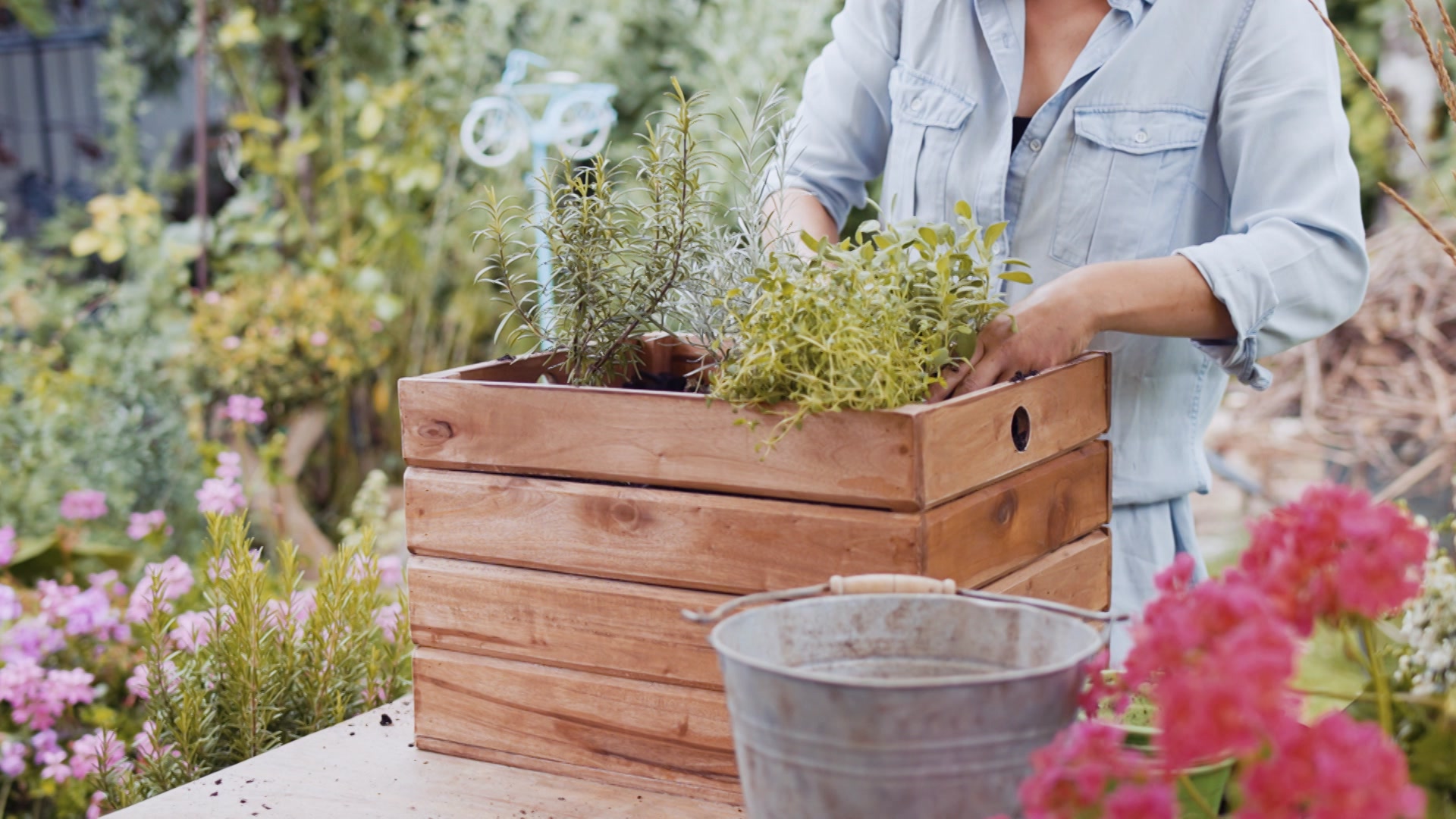 Gartentipps vom Experten als Videos Gartln mit Starkl bei ServusTV On