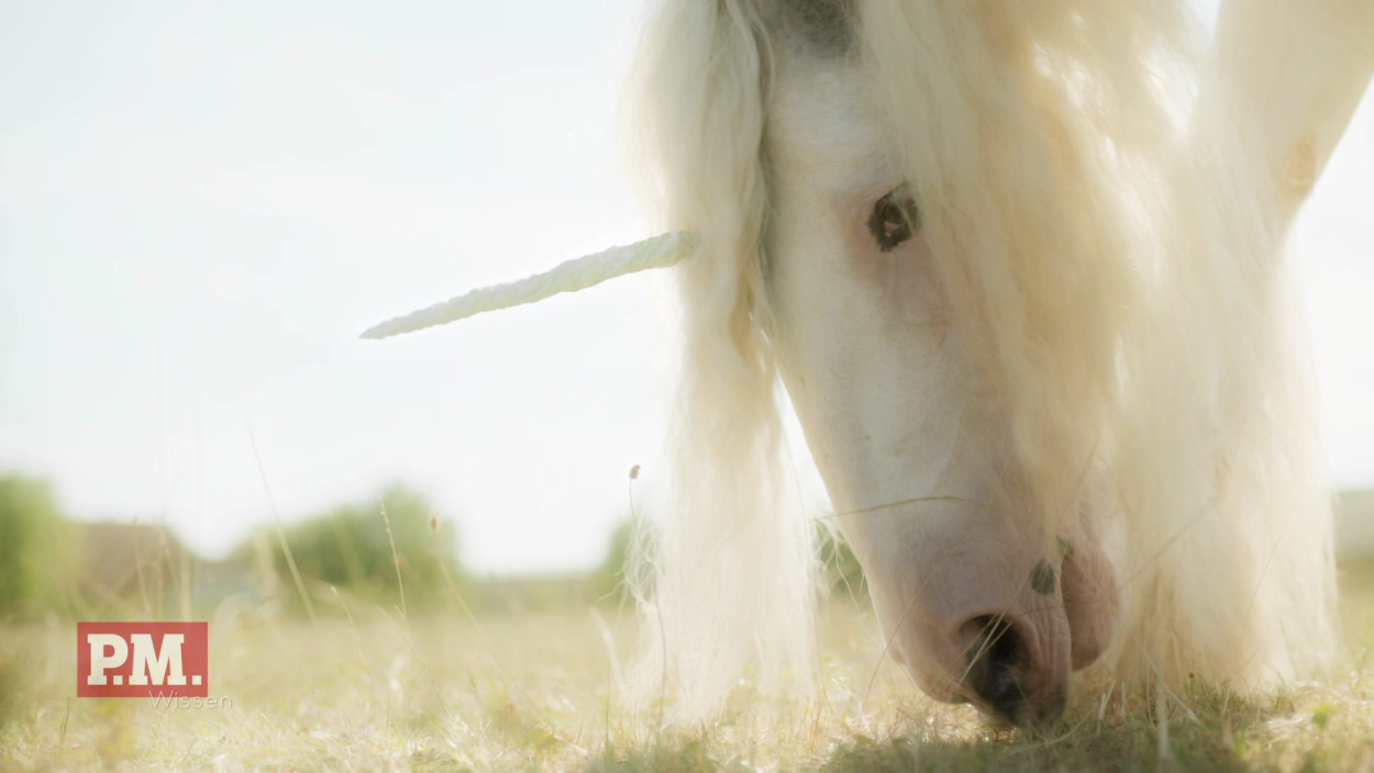 Woher kommt der Mythos vom Einhorn?