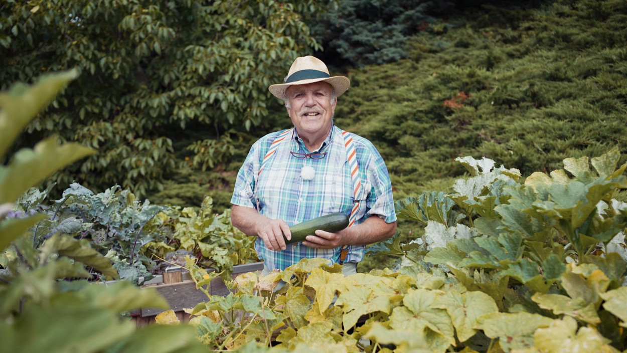 Der Gemüsegarten