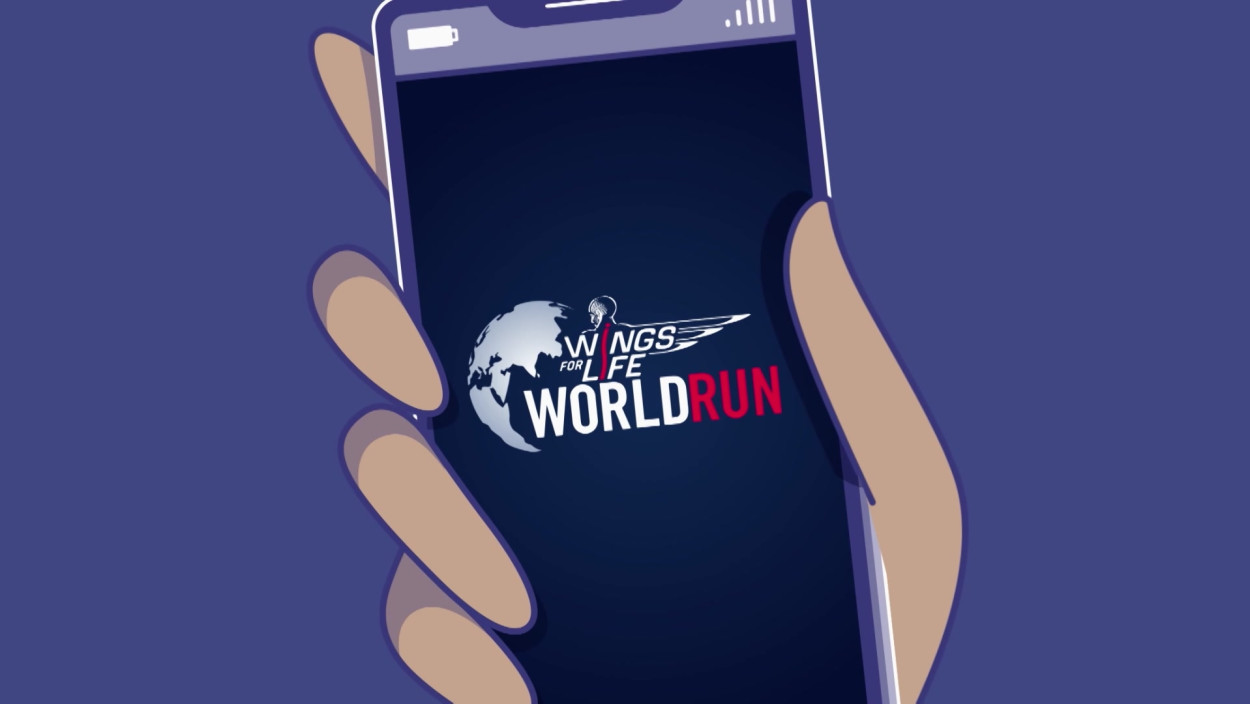 Wings for Life World Run: Das Format