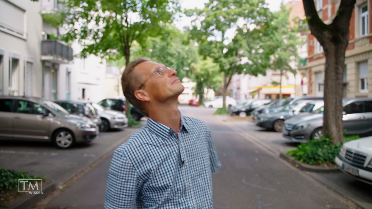 Wie können wir Städte natürlich abkühlen? 