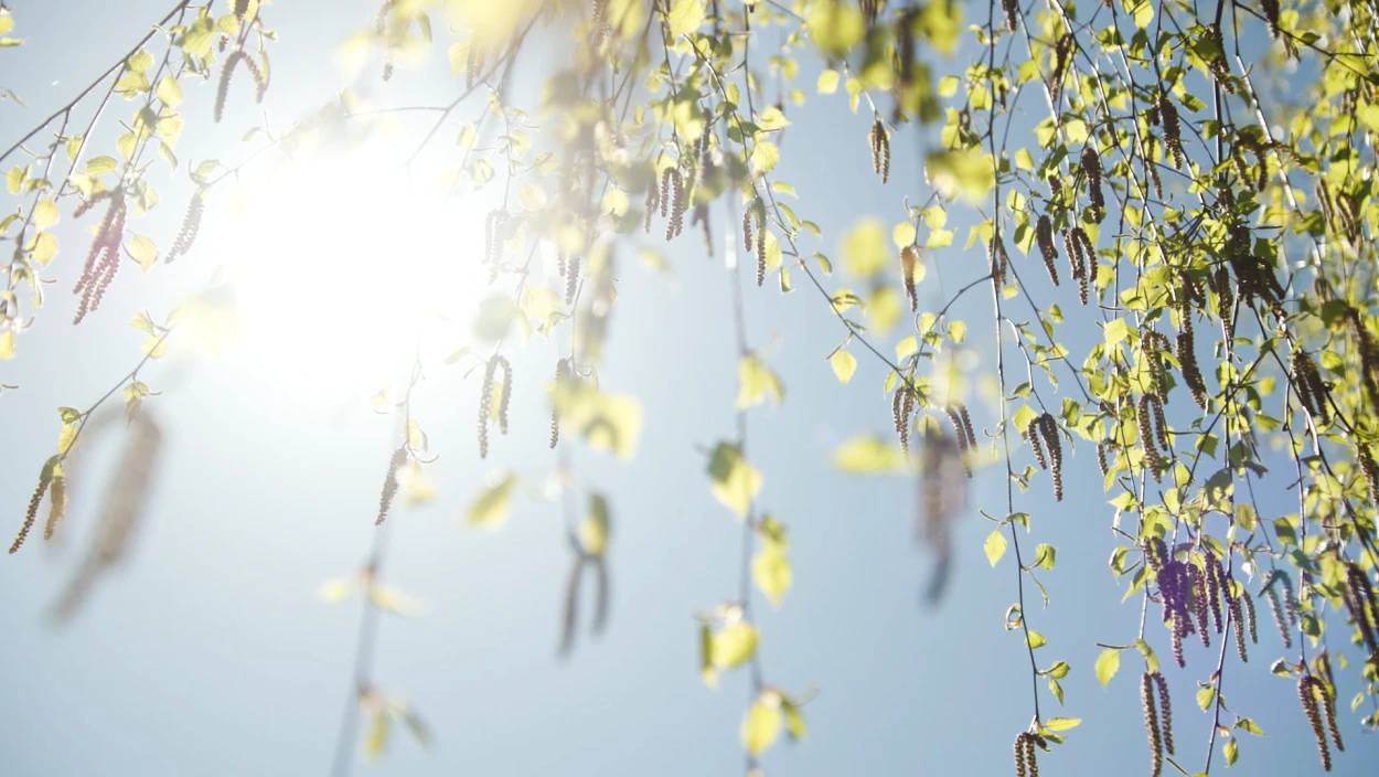 Servus Wetter in 90 Sekunden