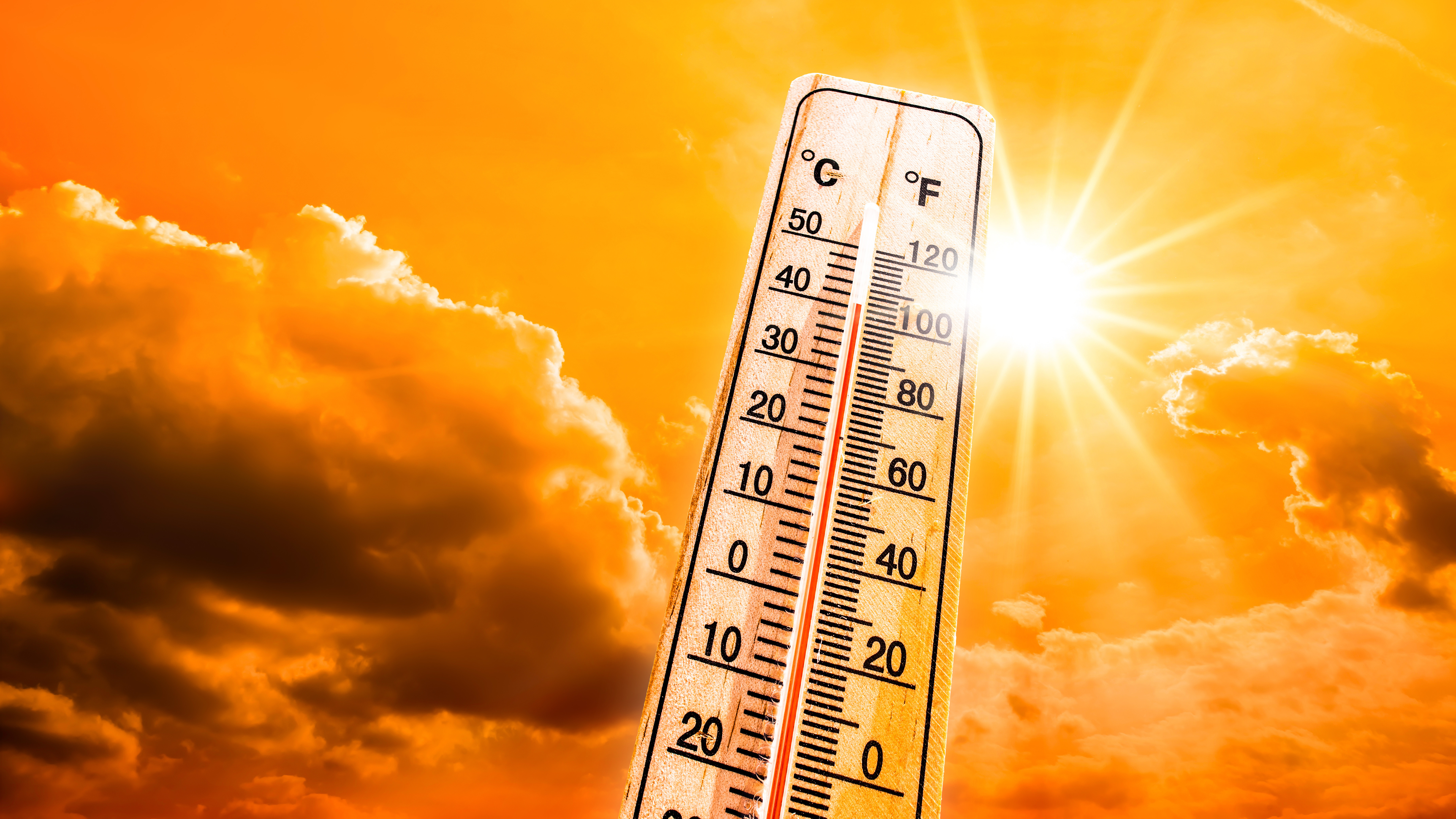 04.08. | Hitzerekord 2.0 – Mensch & Natur leiden! | Servus Wetter in 90 Sekunden