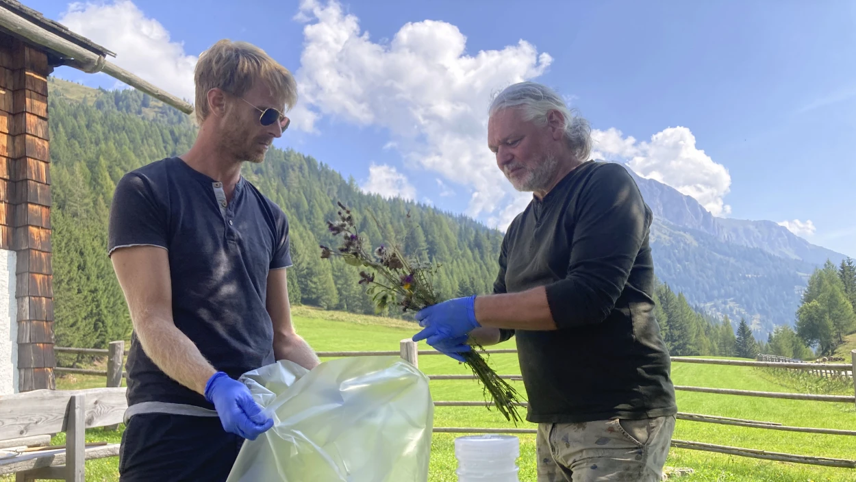 Blüten waschen für die Artenvielfalt