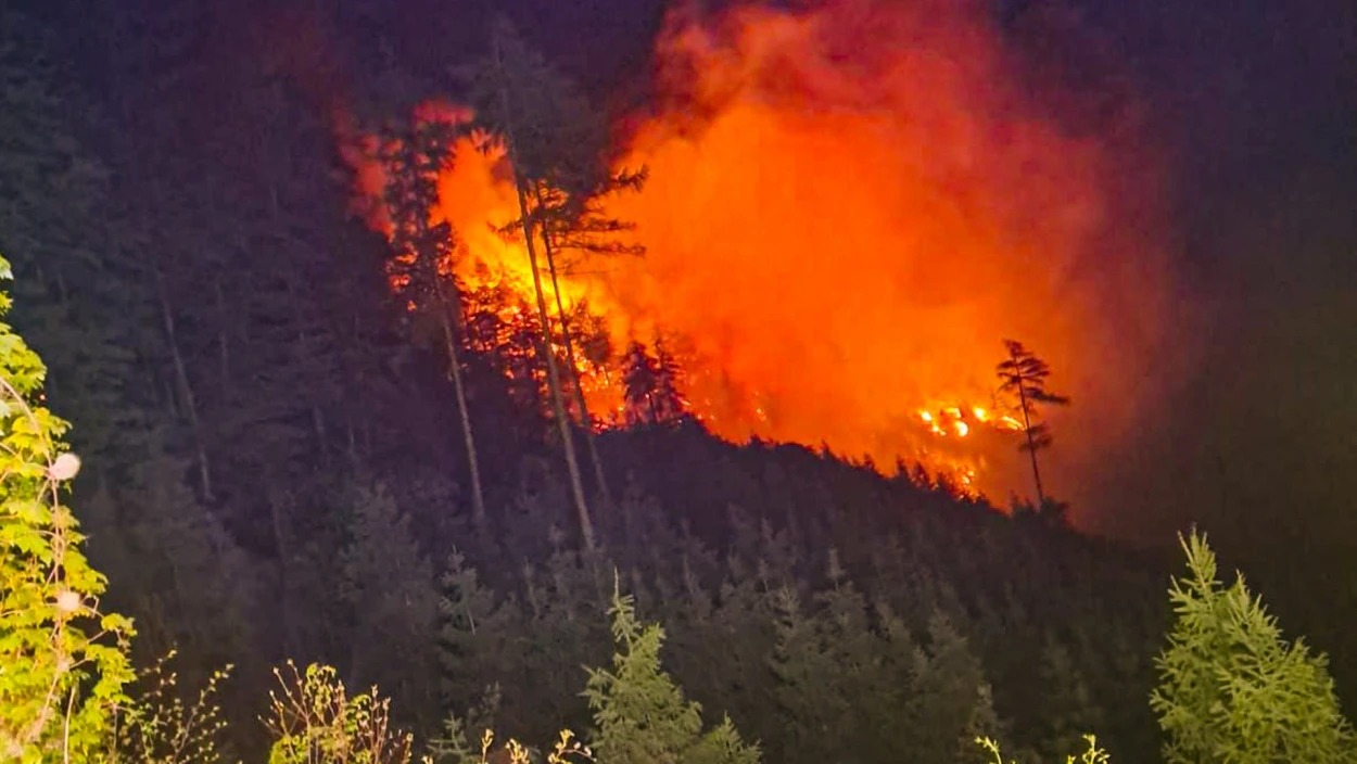 Feuerfront bei Graz: Die Kurzmeldungen vom 26.04.