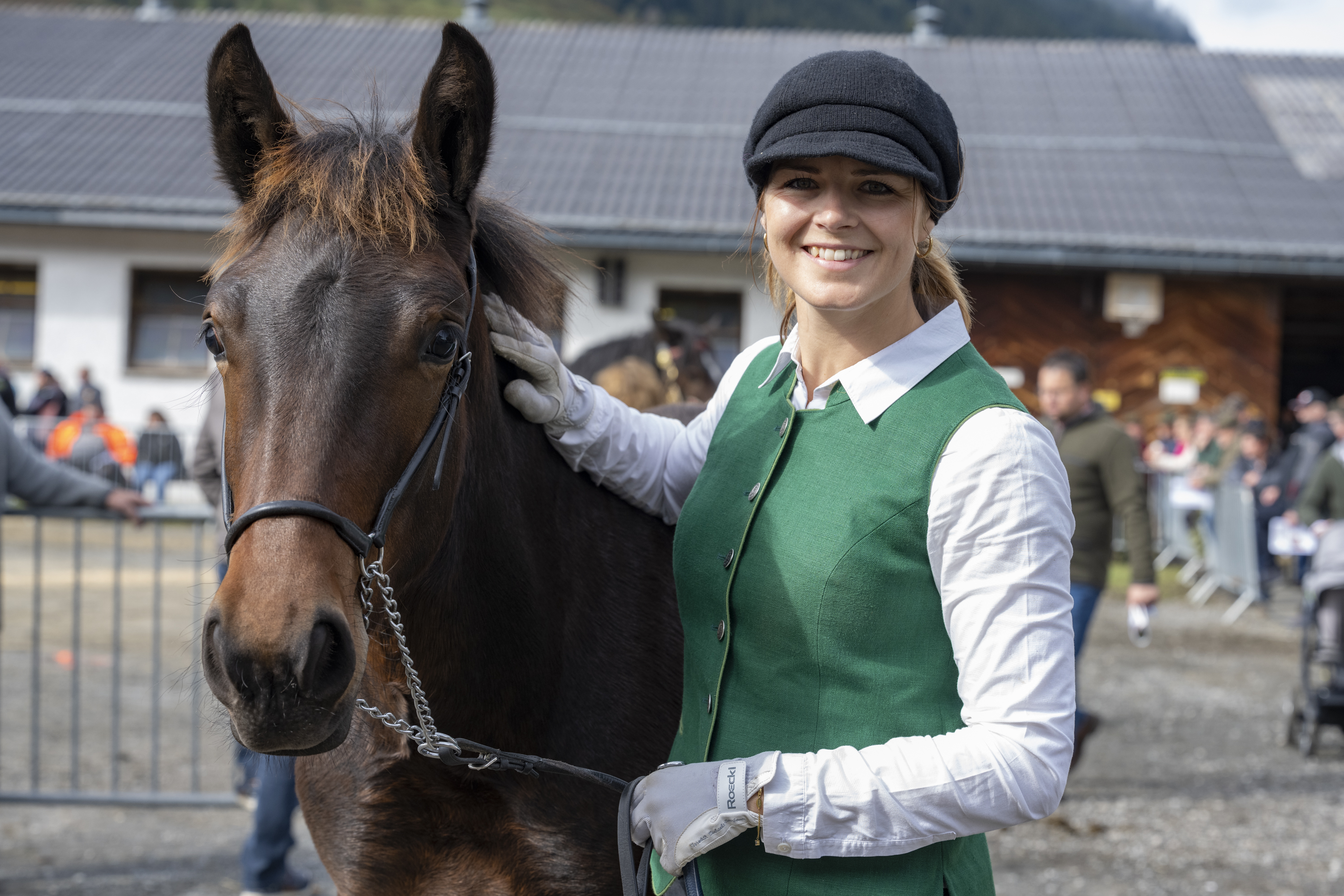 Jahrhundertböcke und Prachthengste