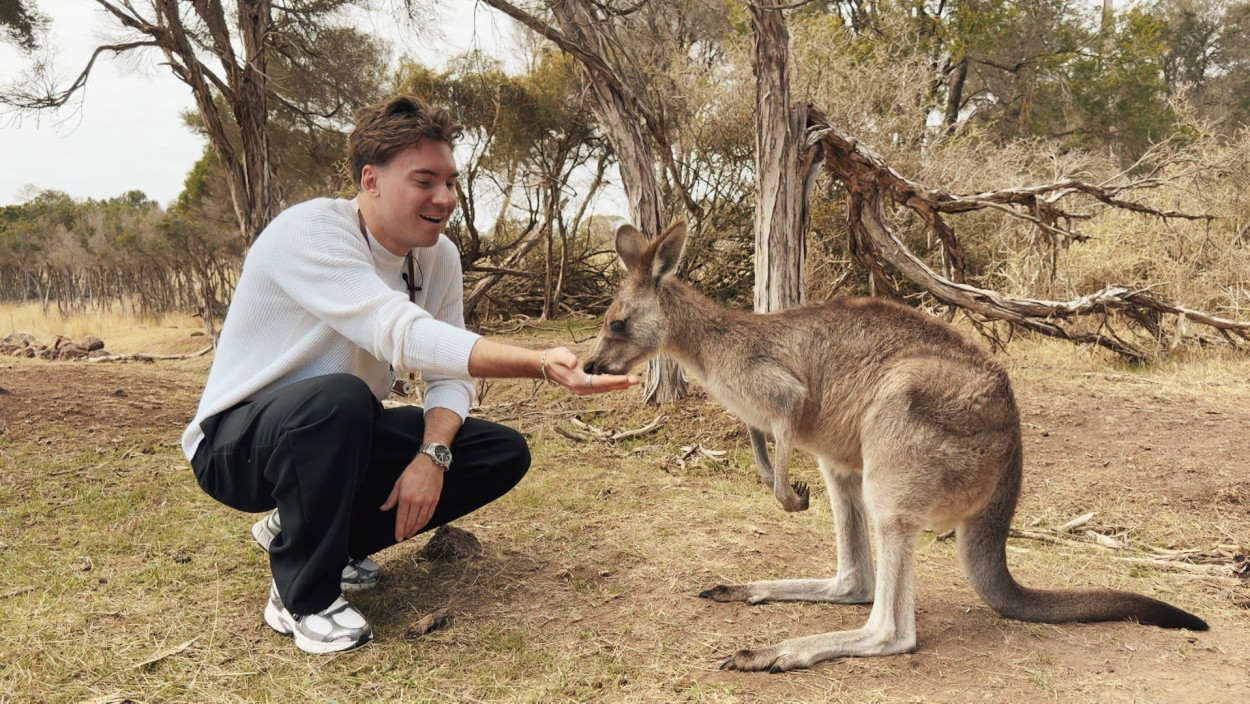 Kängurus, Koalas, Kaffee - Inside Melbourne