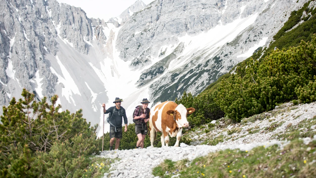 Wandel im Karwendel