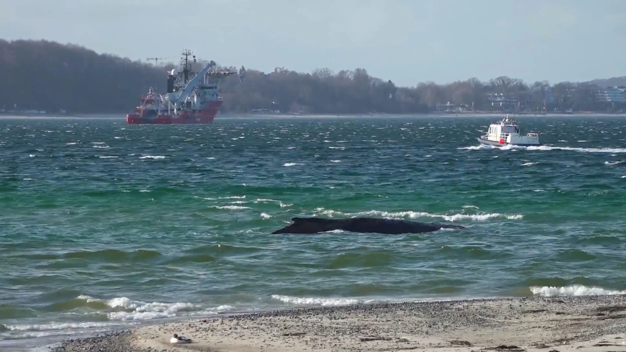 Servus Nachrichten in 90 Sekunden - 12:00 Uhr