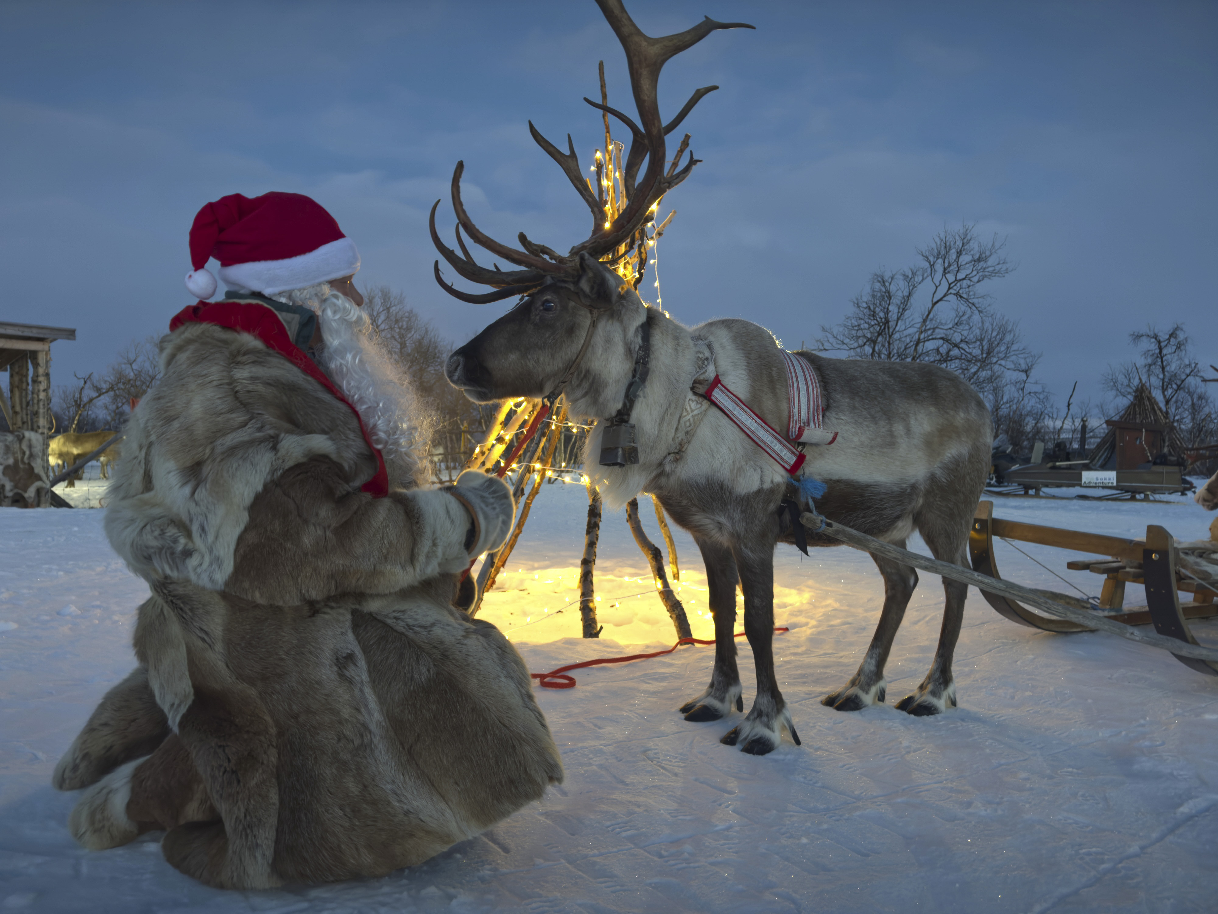 Tierische Weihnachten