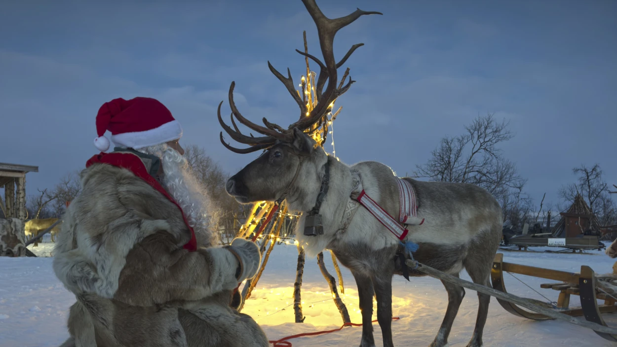 Tierische Weihnachten
