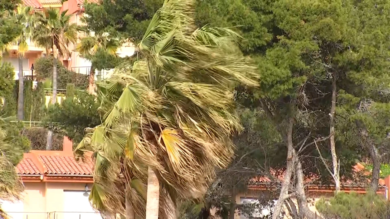 Servus Nachrichten in 90 Sekunden - 07:00 Uhr