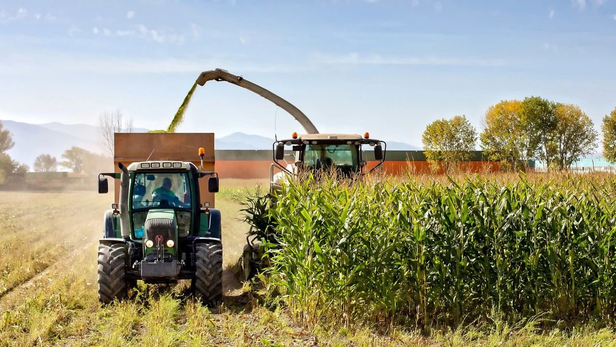 Iran-Krieg: Krise in der Landwirtschaft