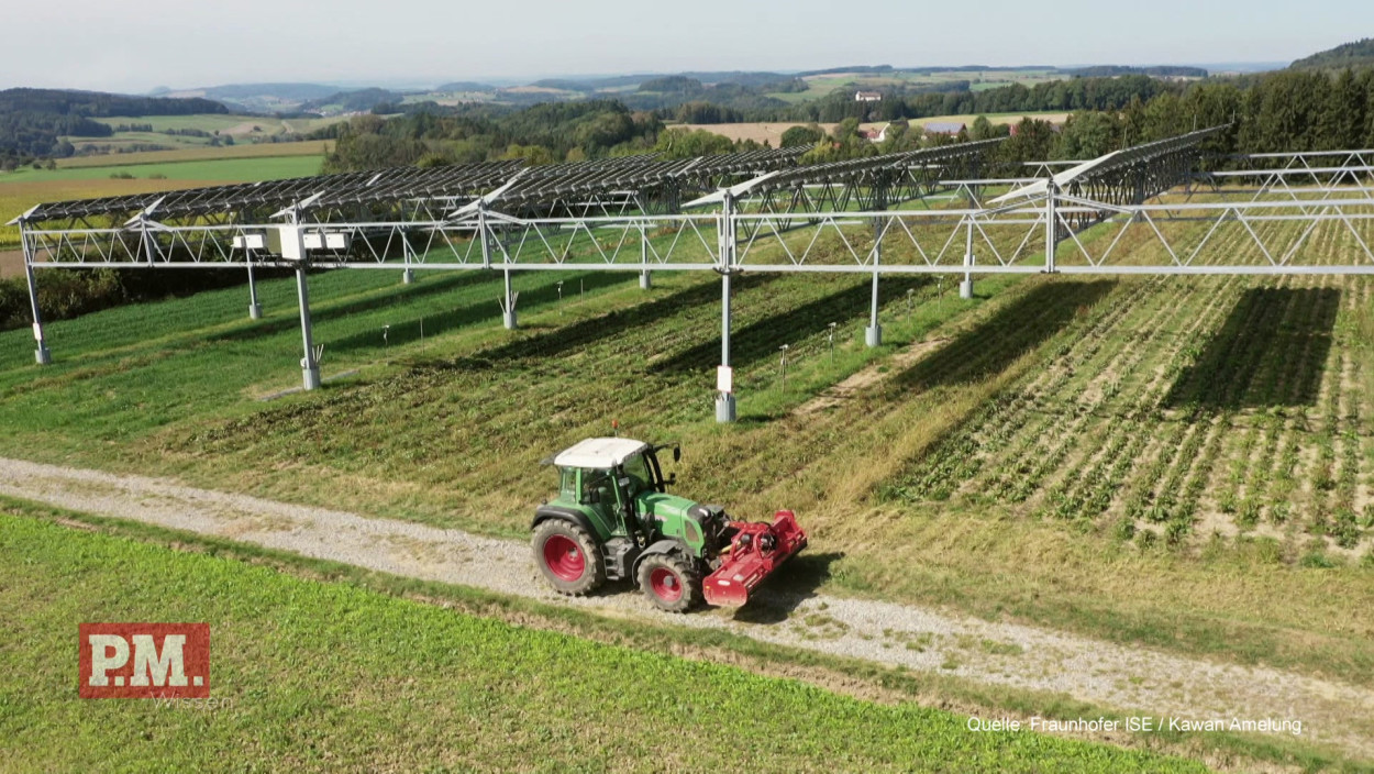 Welche Lösungen gibt es für Landwirte bei anhaltender Trockenheit?