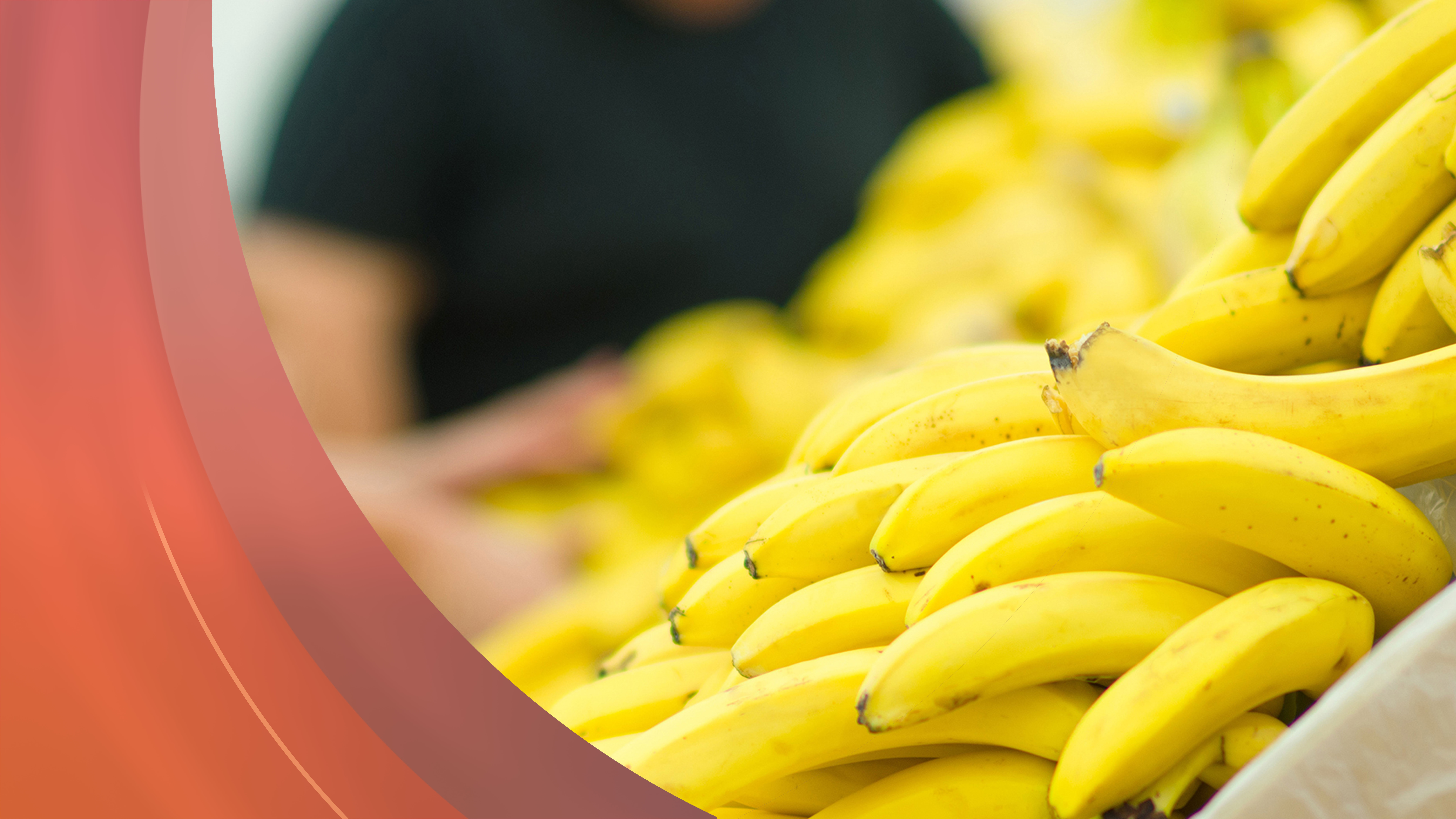 3. Februar - Servus am Abend