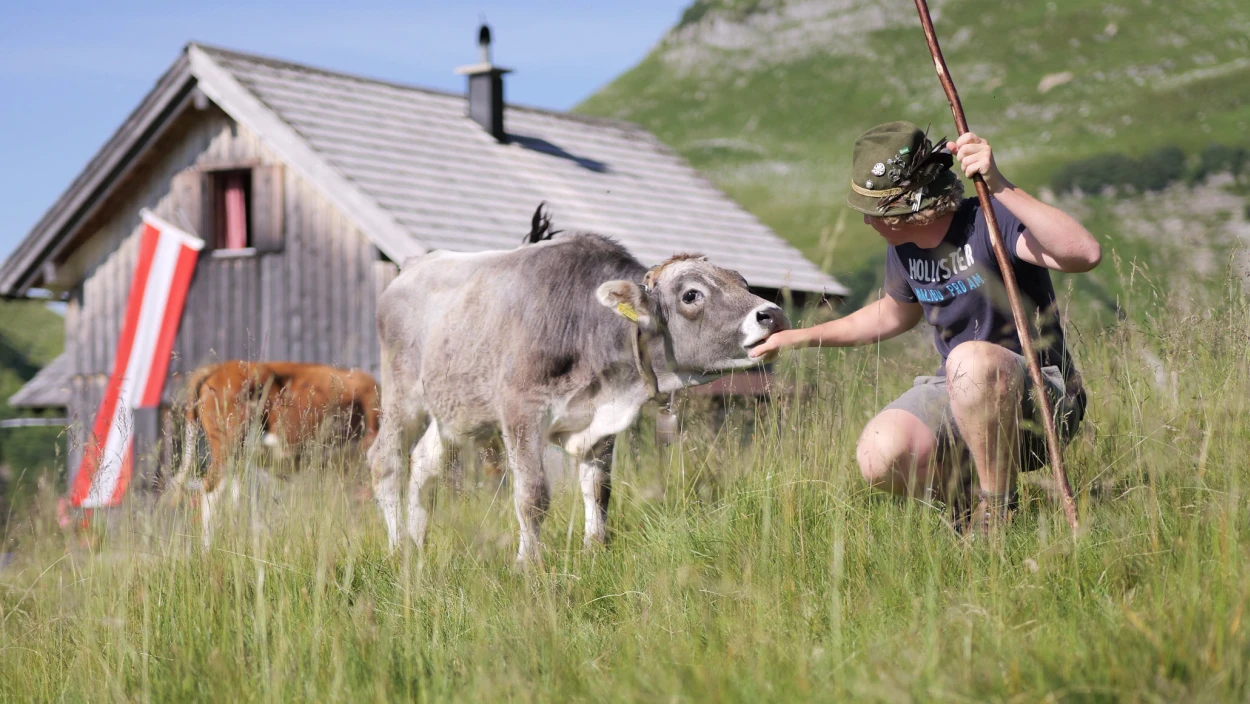 Vom Kommen und Gehen - Steirische Almen