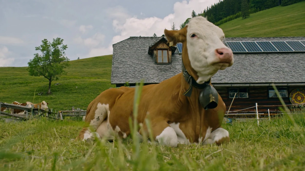 Unsere Nationalparks - Die Kalkalpen