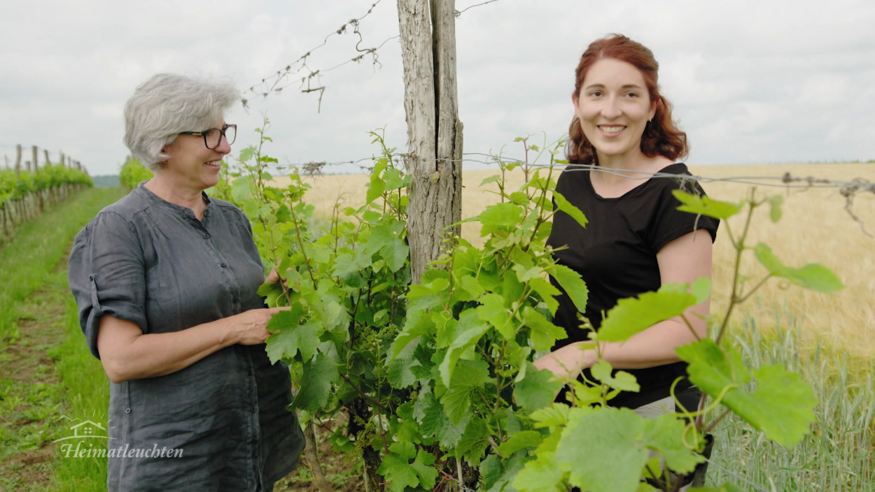 Starke Frauen, starke Weine - Tief verwurzelt im Weinviertel