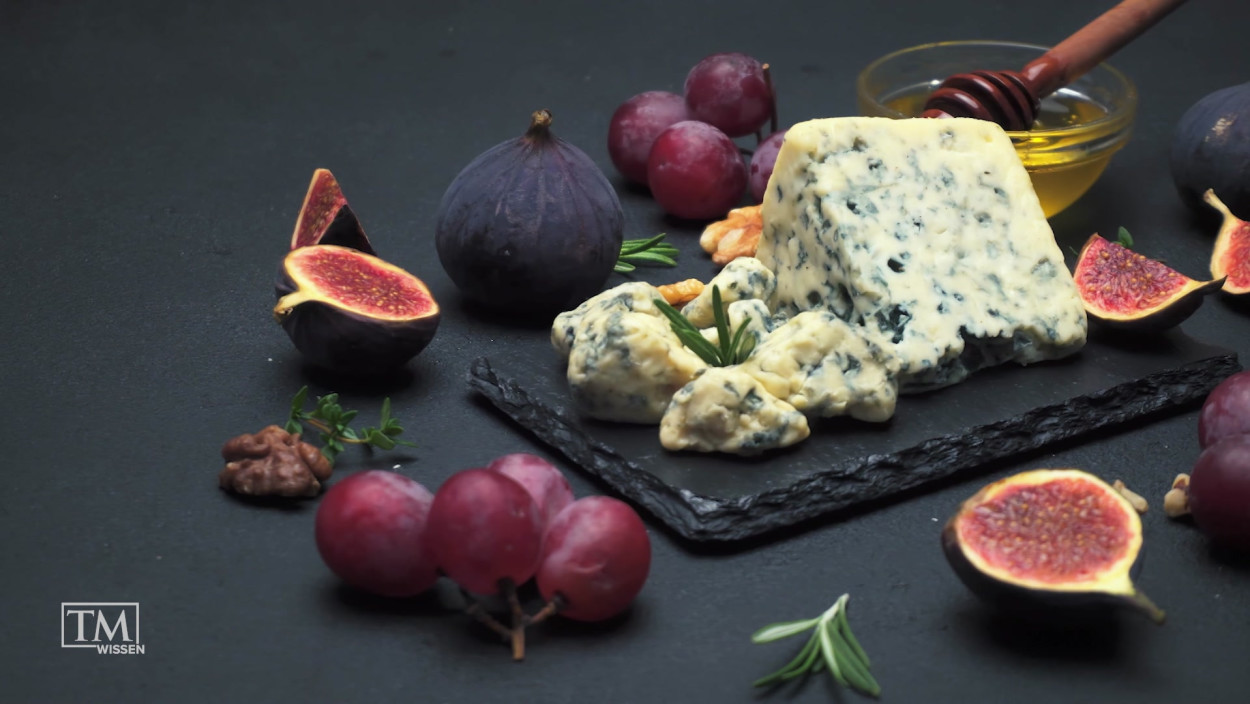 Alles über Schimmel