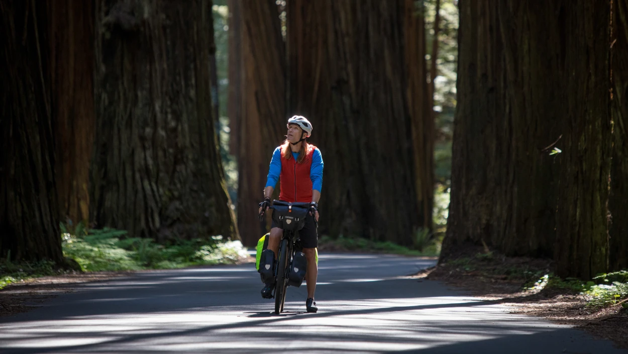 Durch Kaliforniens wilden Norden