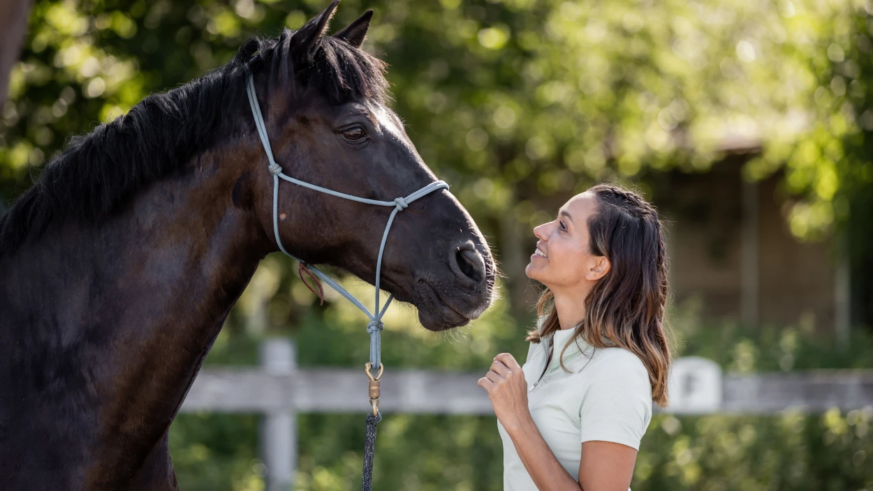 Horsemanship - die Sprache der Pferde (SC-Version)