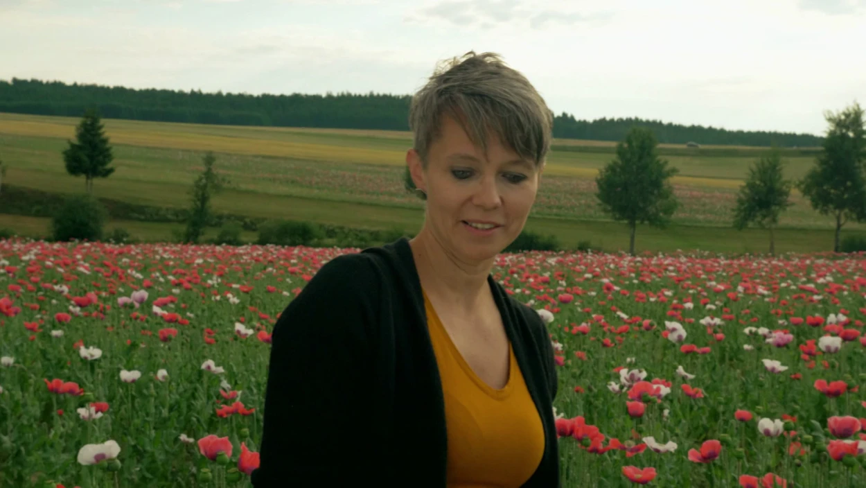 Windige Weiten Österreichs