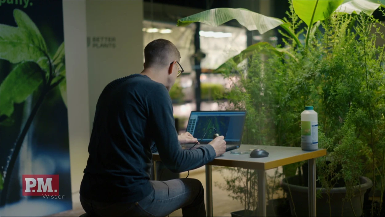 Wie helfen LEDs beim Vertical Farming?
