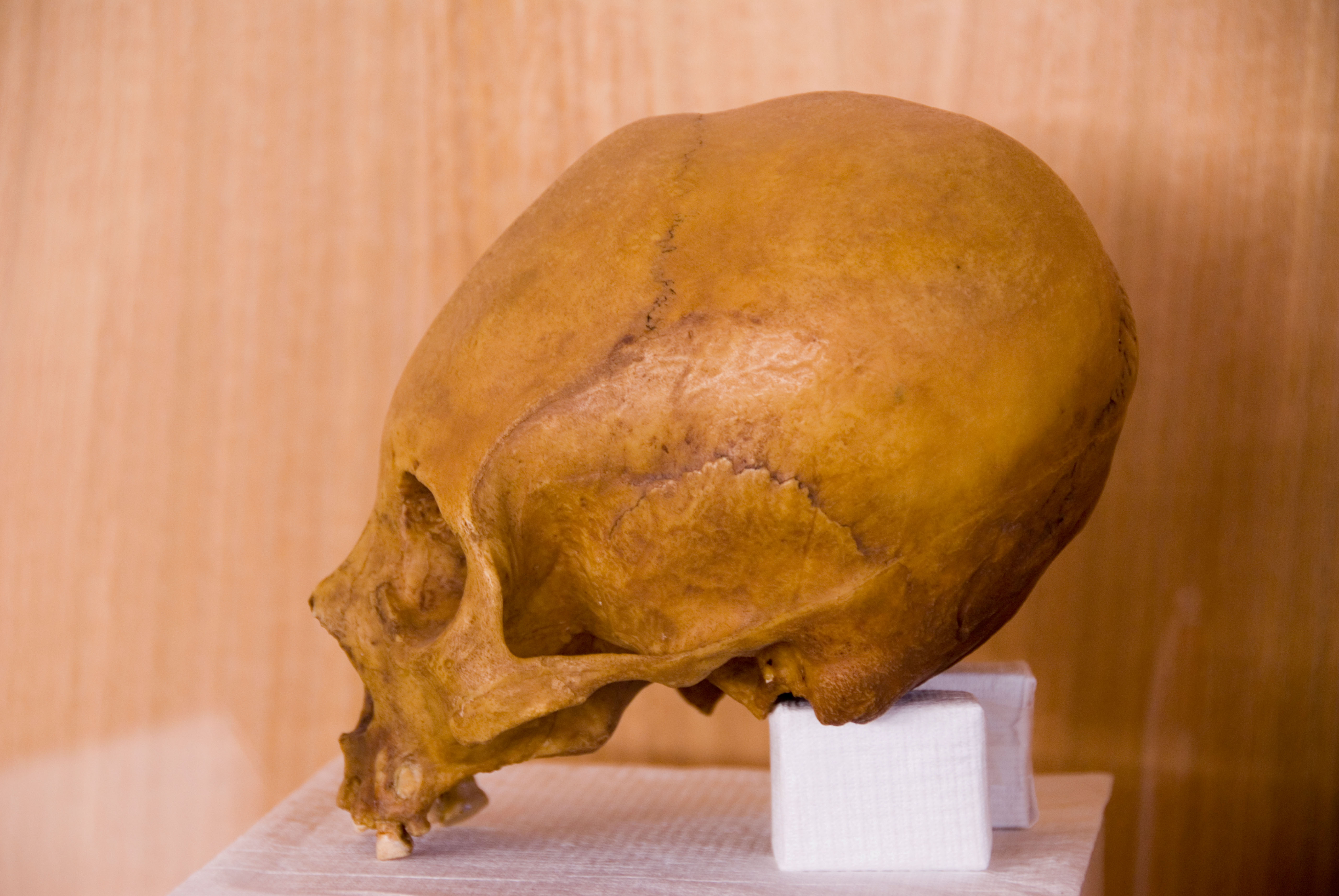 Die Giganten von Malta