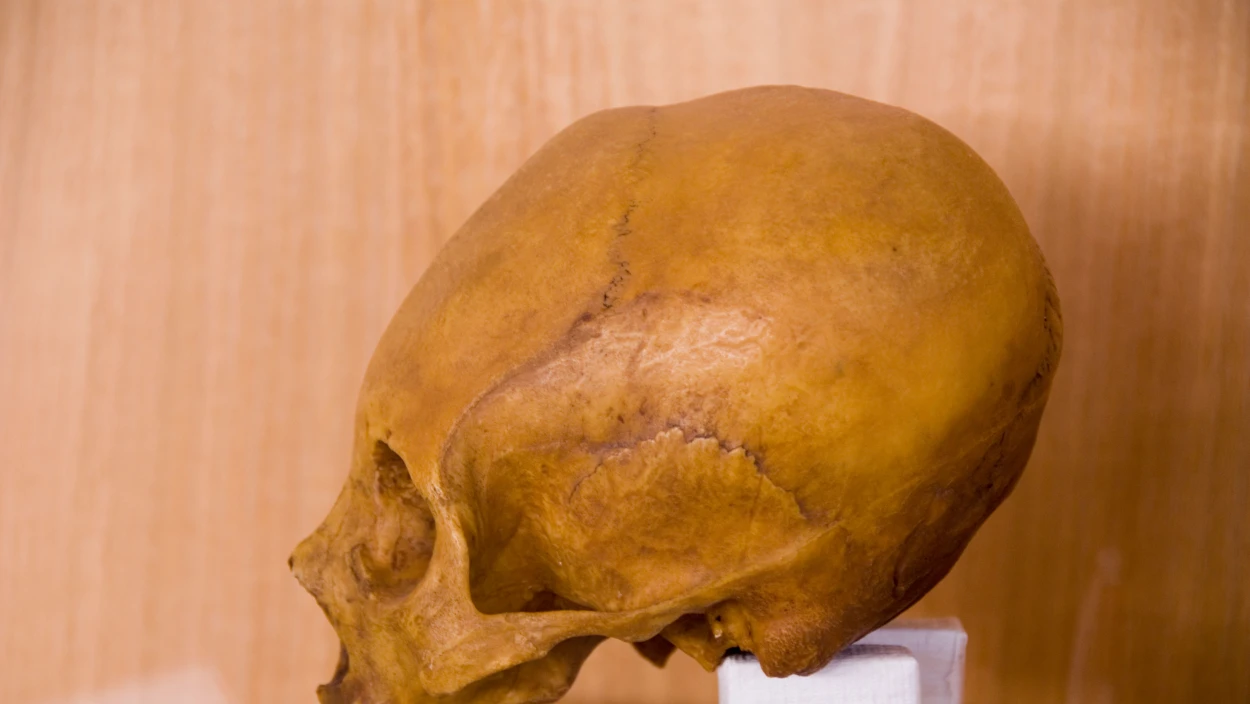 Die Giganten von Malta