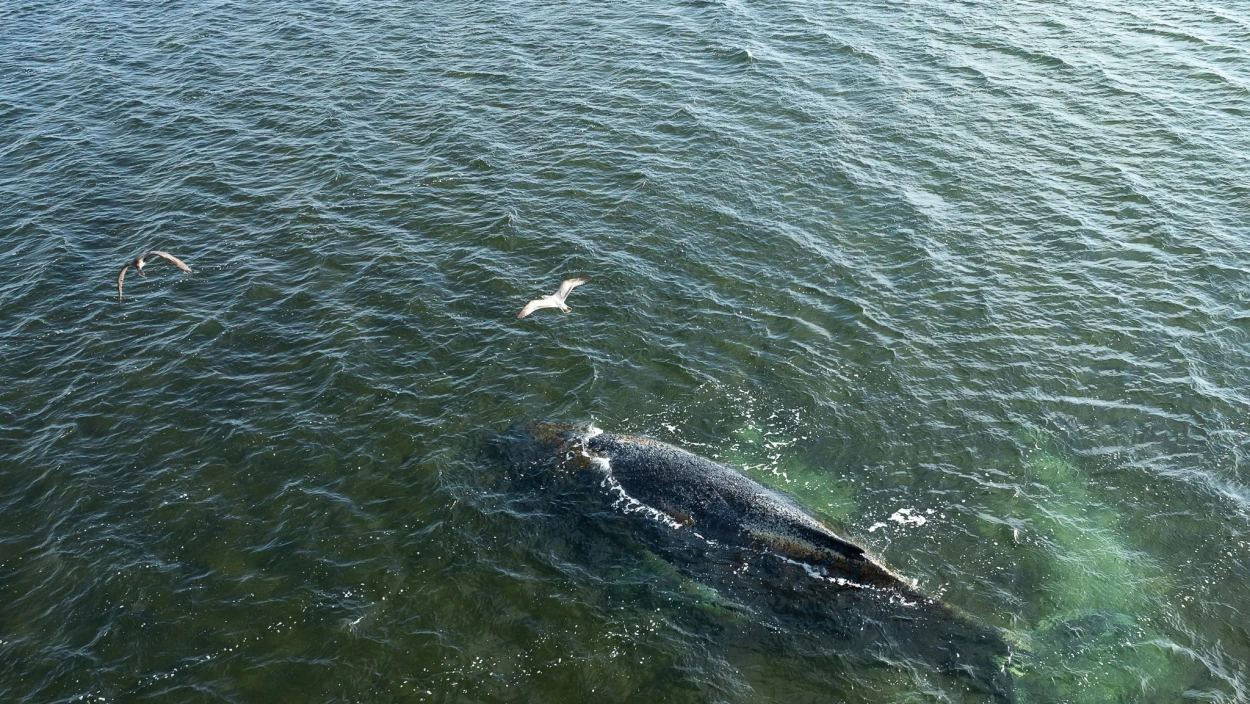 Servus Nachrichten in 90 Sekunden - 18:00 Uhr