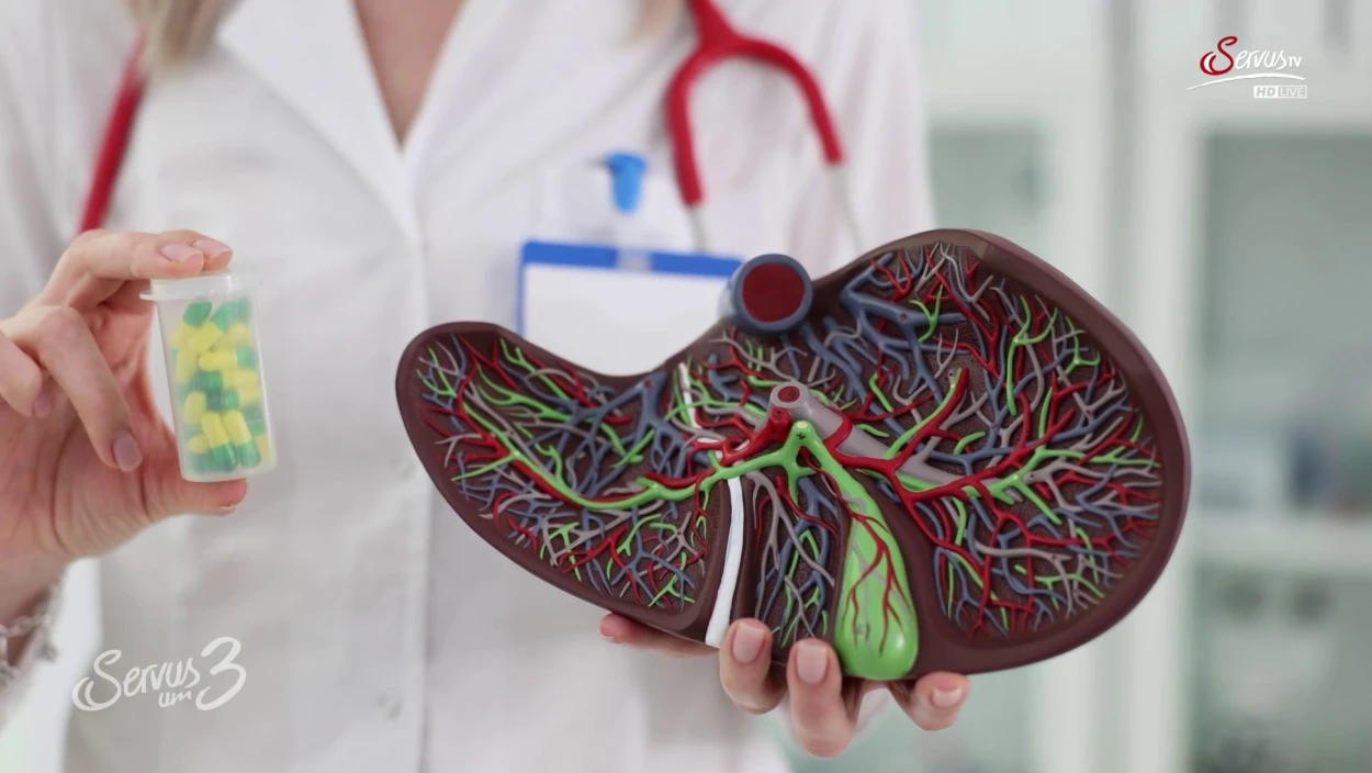 Geschlechterspezifische Unterschiede in der Medizin