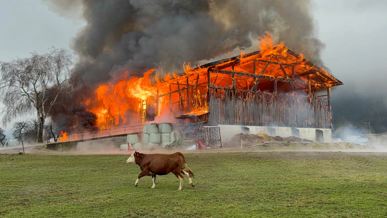 Stall steht in Vollbrand: Bundesländer-News vom 17.03.