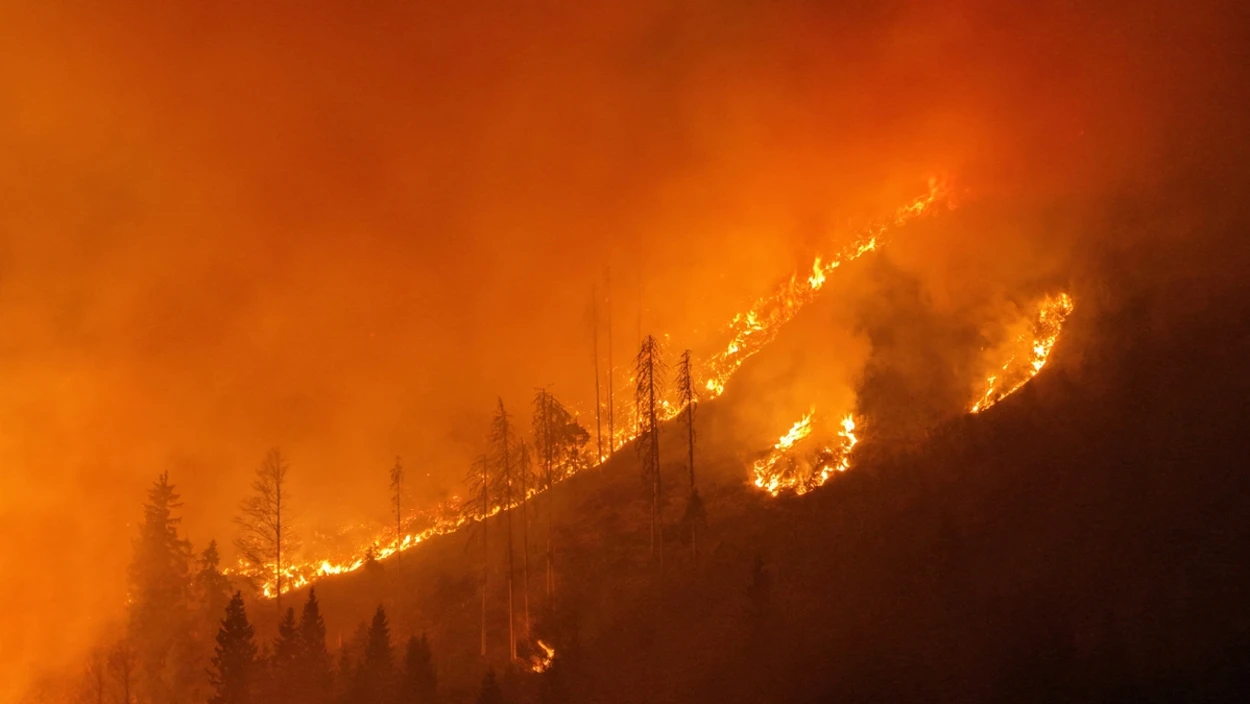 Ganzer Berg brennt  - 70 Hektar Wald im Lesachtal in Flammen