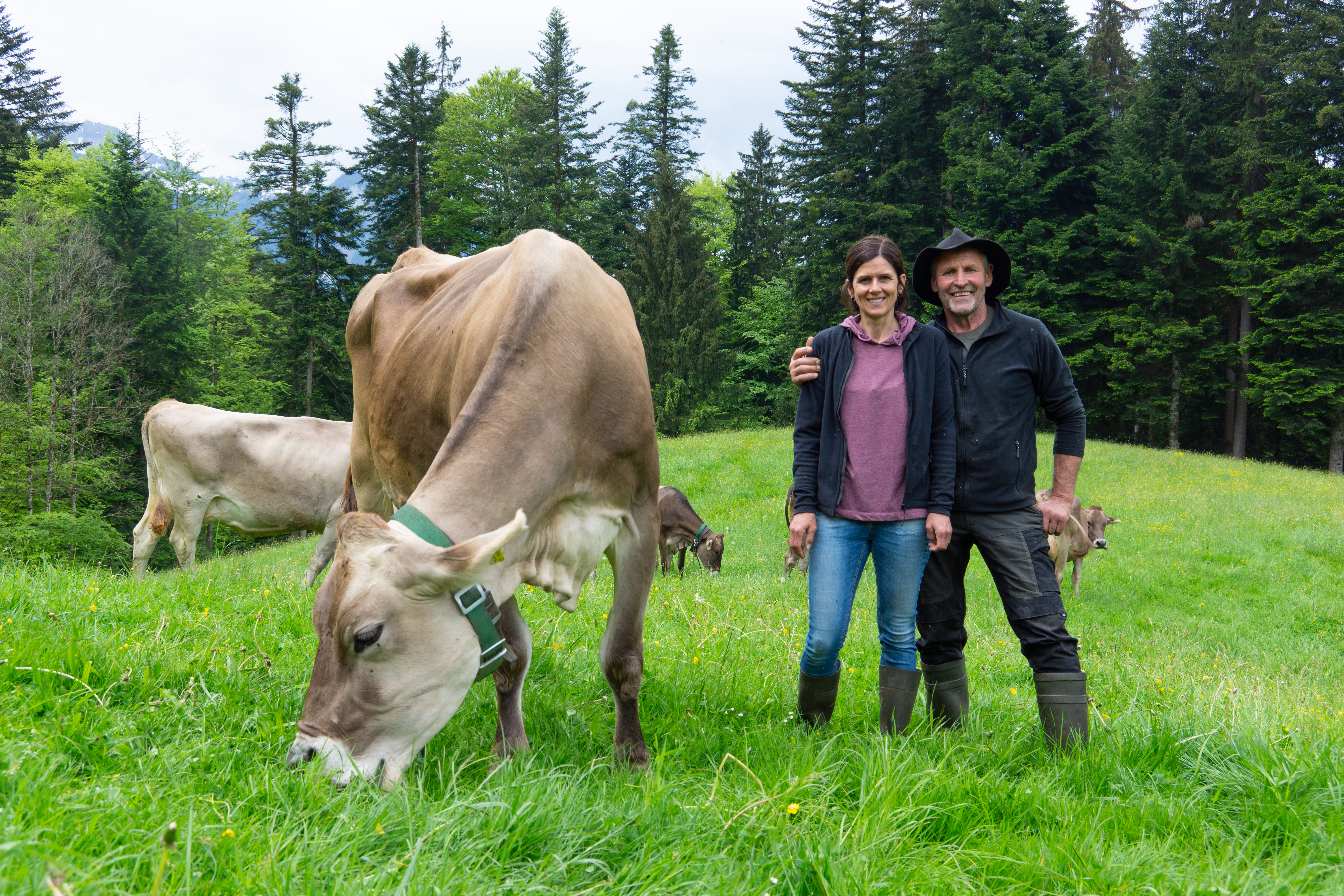 Mit Herz und Hof - Durchs Bauernjahr