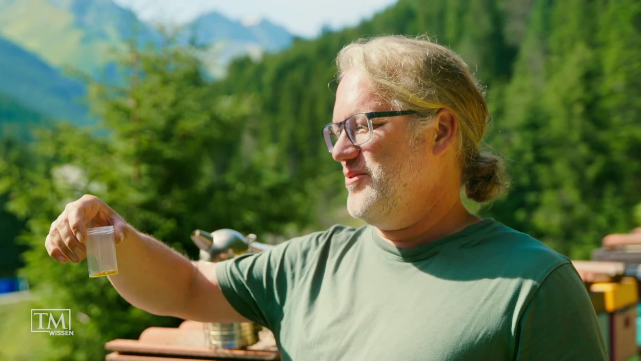 Was steckt im Honig?