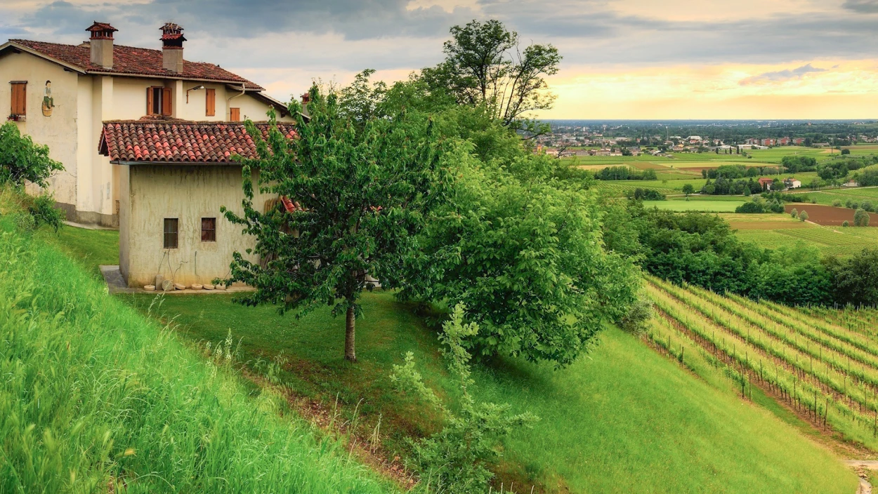 Wo andere Urlaub machen: Katja Roblek verlässt Kärnten und wird Winzerin in San Floriano