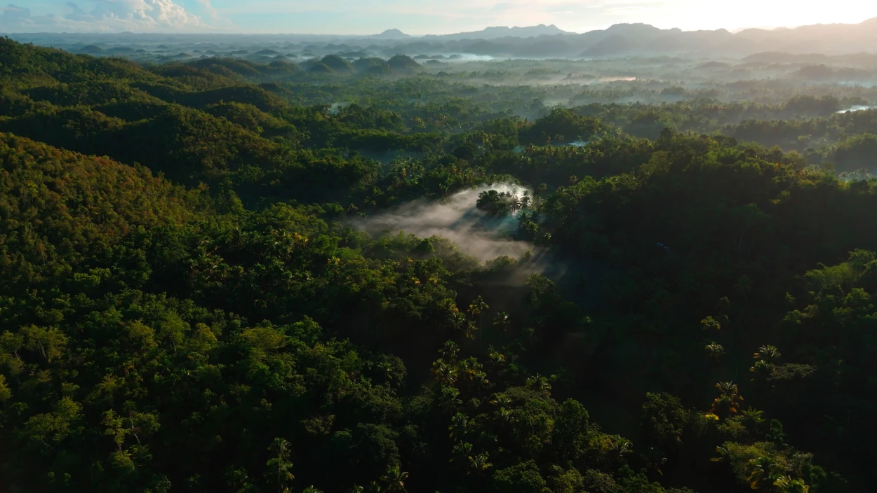 Im Reich der Regenwälder (2/3)