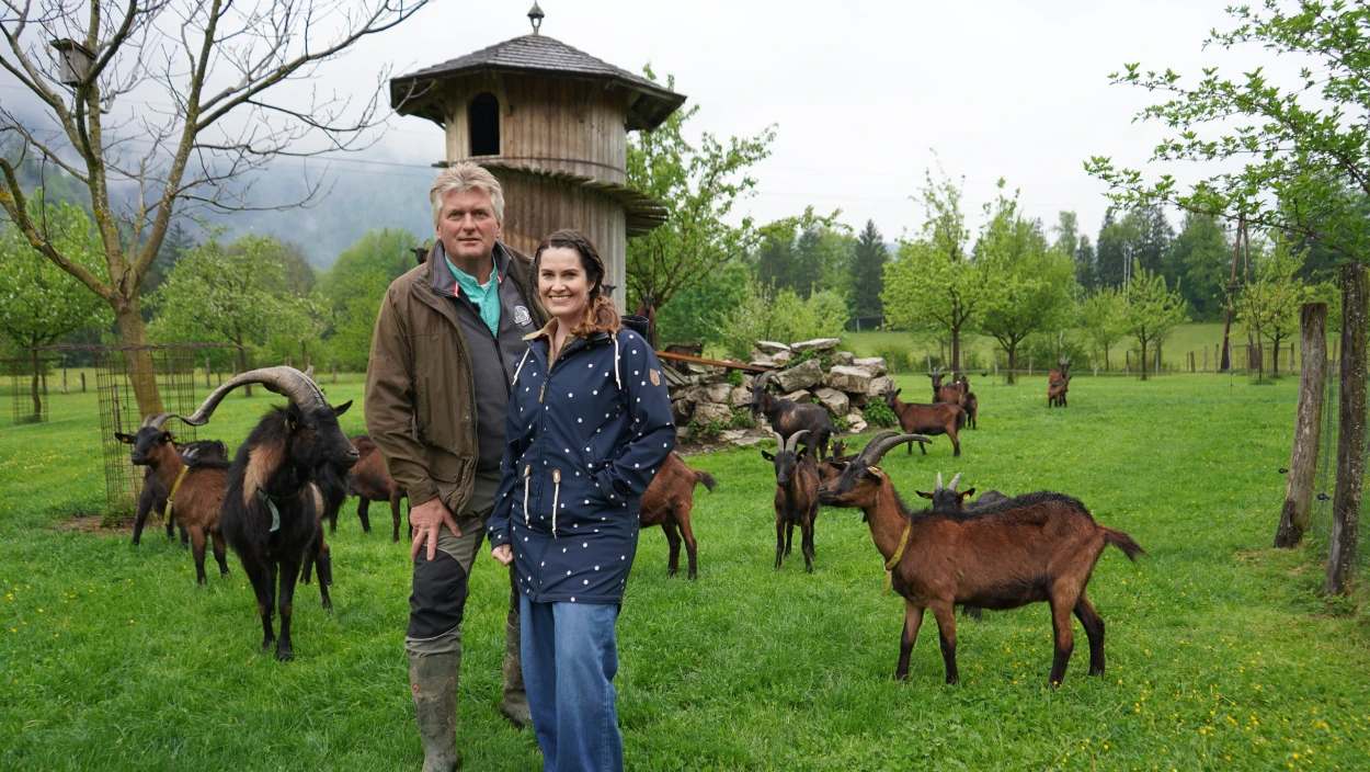 Auf und der Goaß nach