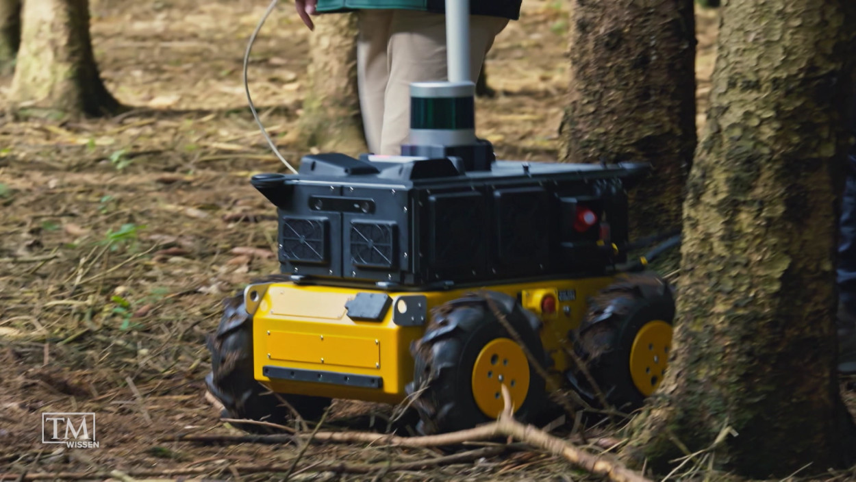 Wie schützt eine digitale Nase unsere Bäume?