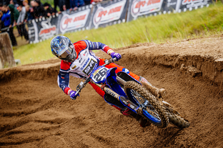 Highlights: Tensfeld