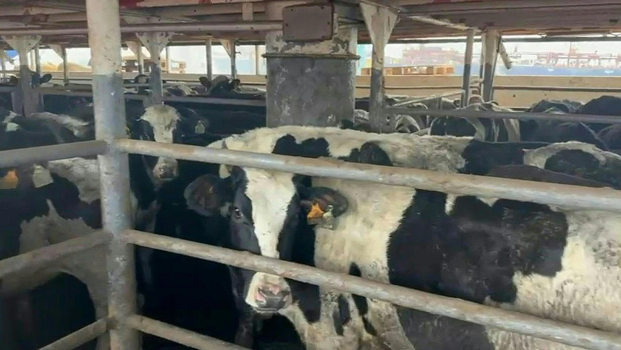 Servus Nachrichten in 90 Sekunden - 15:00 Uhr