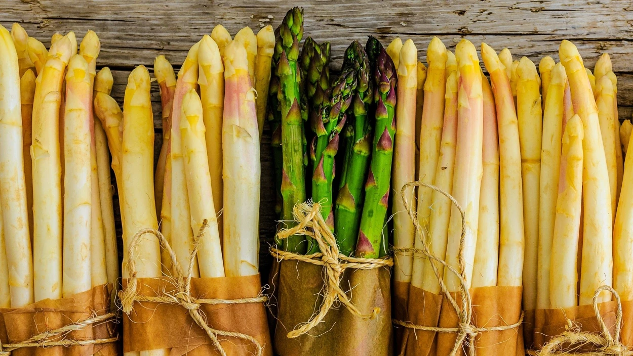 Import statt Feldfrisch: Warum heimischer Spargel heuer später kommt