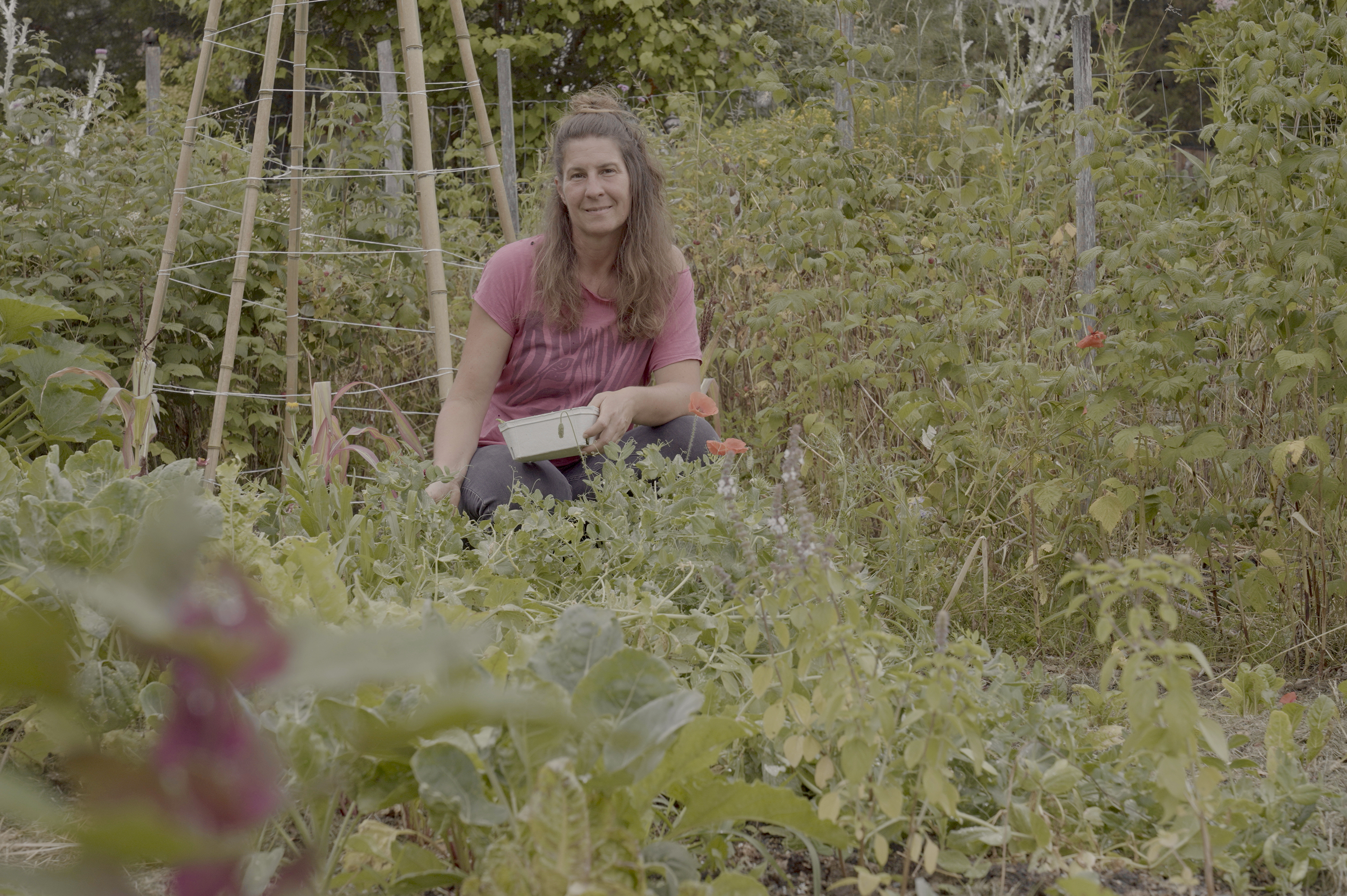 Das Südburgenland - Liebe auf den zweiten Blick