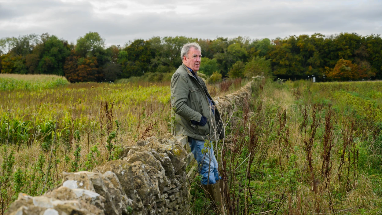 Das Renaturierungsprojekt