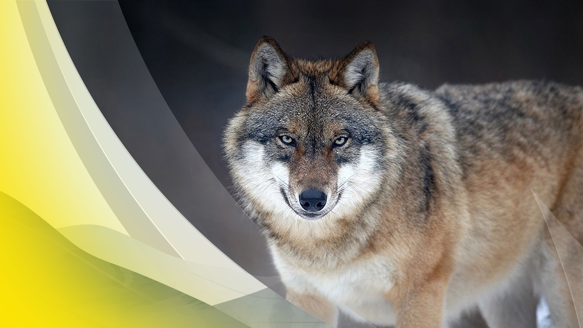 1. April - Servus um 2